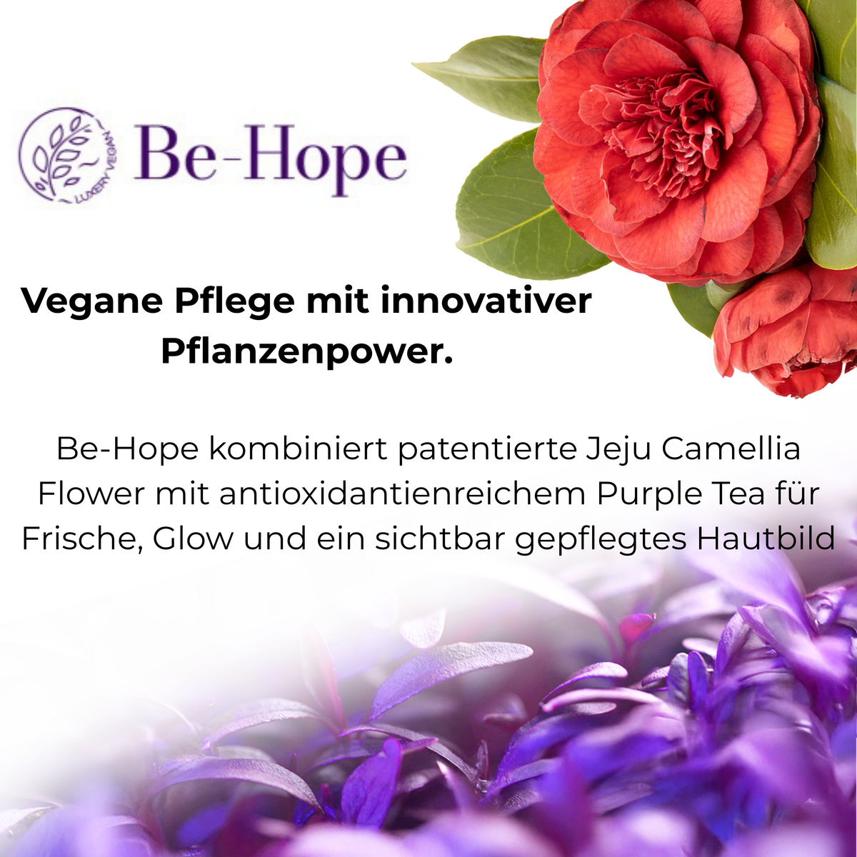 Be-Hope Markenlogo mit roter Kamelienblüte, violetten Pflanzen und Informationen zur veganen Hautpflege mit Jeju Camellia Flower und Purple Tea.